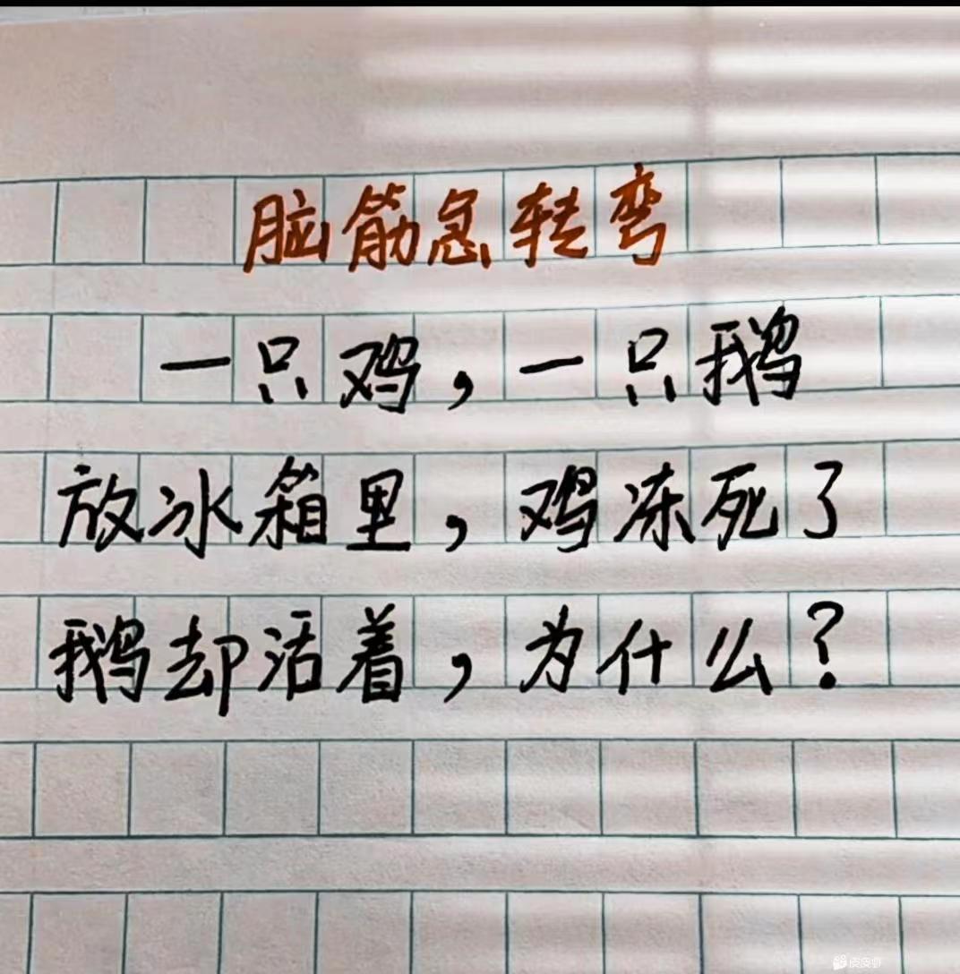 小鳄龟为啥养着养着就断尾了,以前不理解别人养宠物