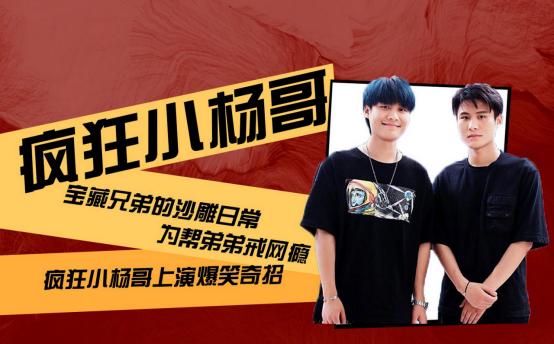 疯狂小杨哥提高盈利的方法,疯狂小杨哥多久可以赚100万