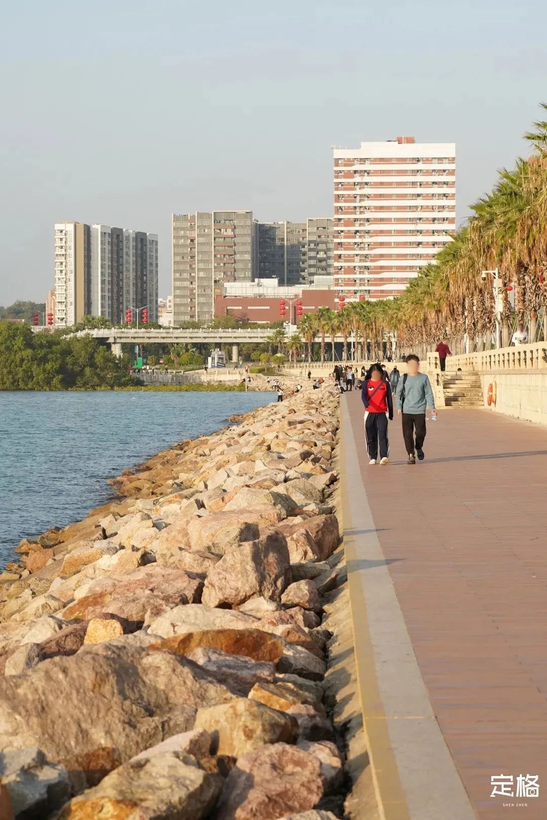 深圳10公里跑步路线,深圳跑步路线推荐塑胶跑道