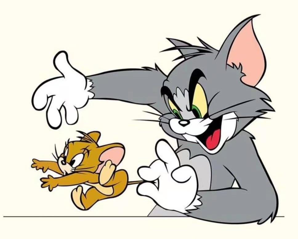 病媒生物防治消杀活动,病媒生物消杀除虫灭鼠