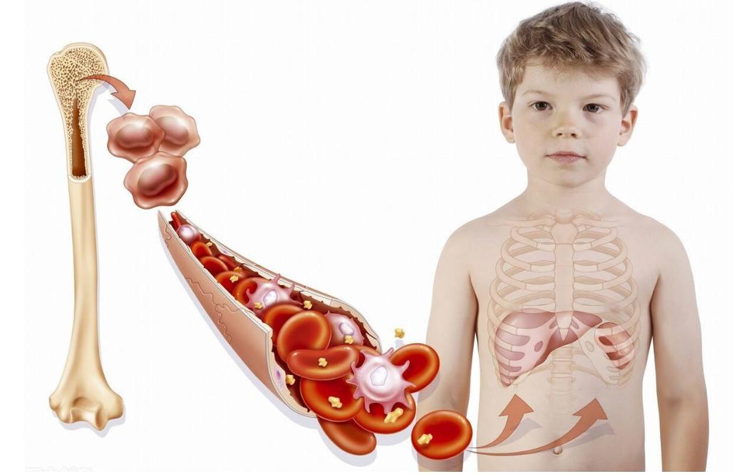 “阴阳人”真的存在？有女性器官也有男性器官？医生做出解释