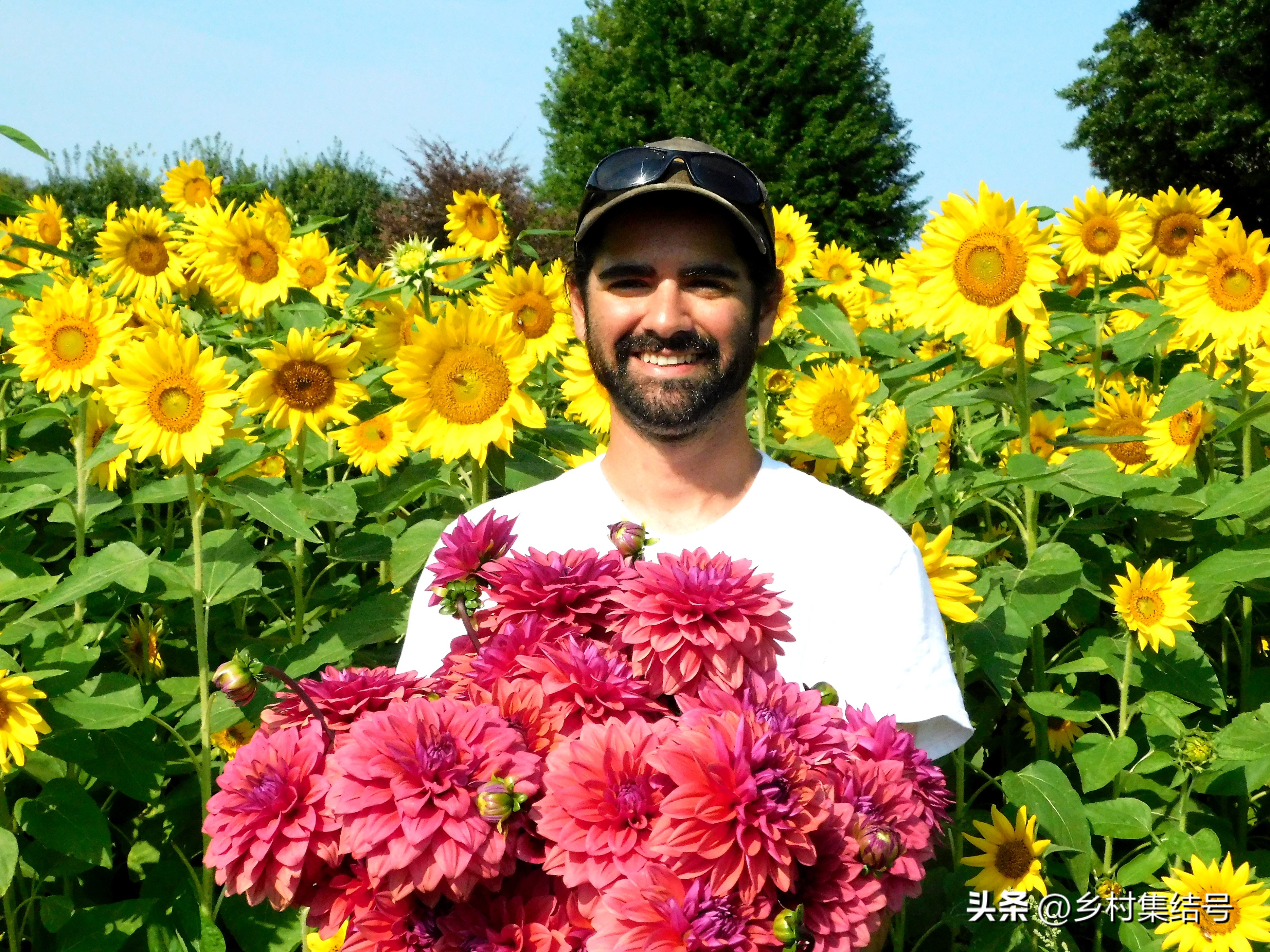 美国夏日梦幻农场：以大丽花为主题的鲜花园艺农场，如梦如画！