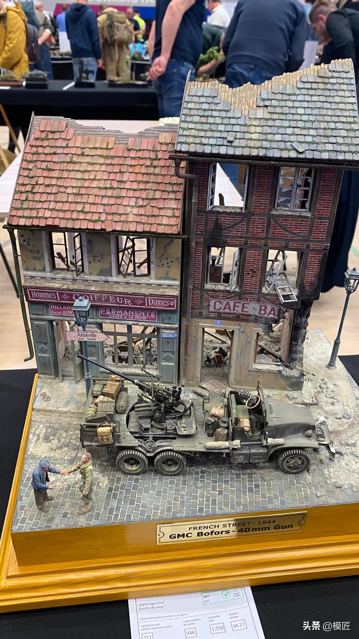 匈牙利莫森金奖,莫森模型展