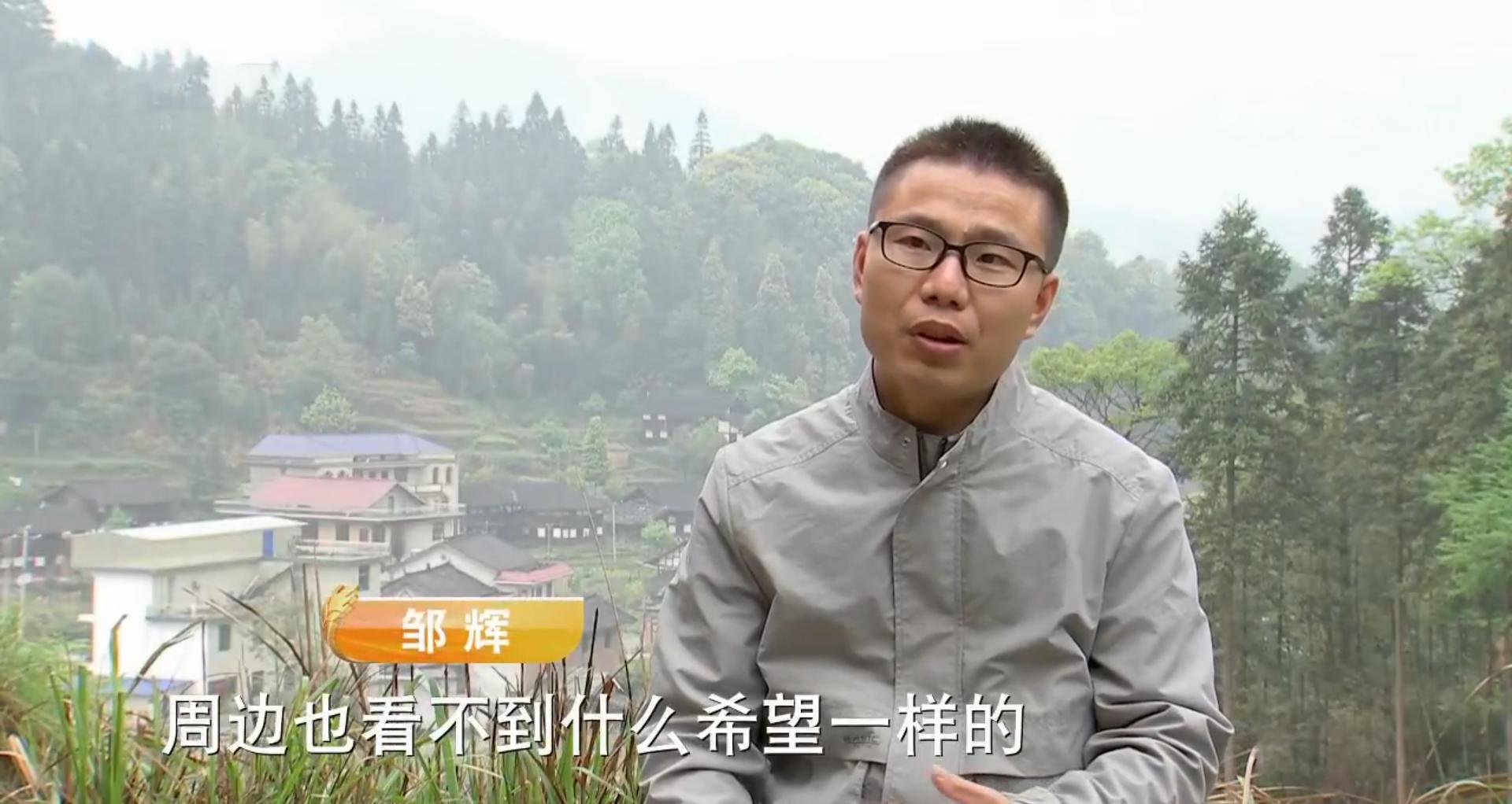 买这种野草一年赚200万 (一年赚200万的野草)