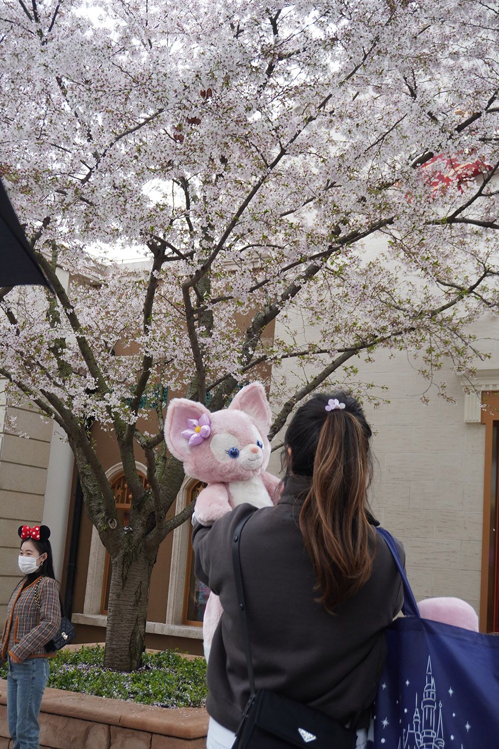 排队5小时、互动2分钟，与玲娜贝儿拥抱背后