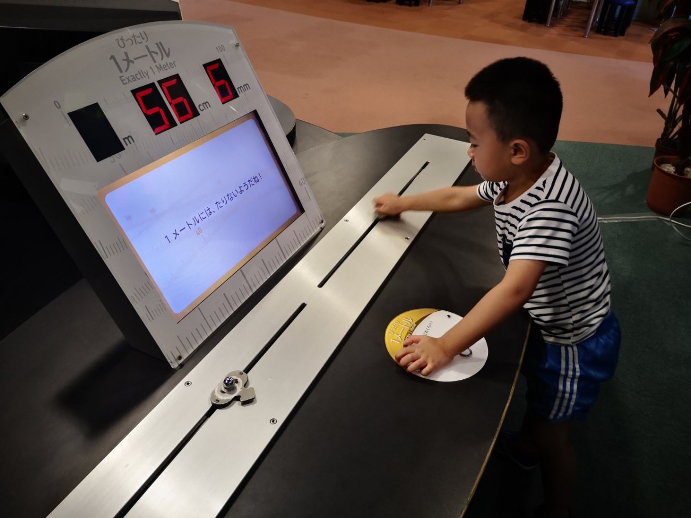 暑期档2019年,2019年暑期档