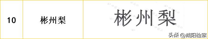 【知识产权宣传周】咸阳地理标志保护产品都有啥？怎么保护？检察官教大家打卡！