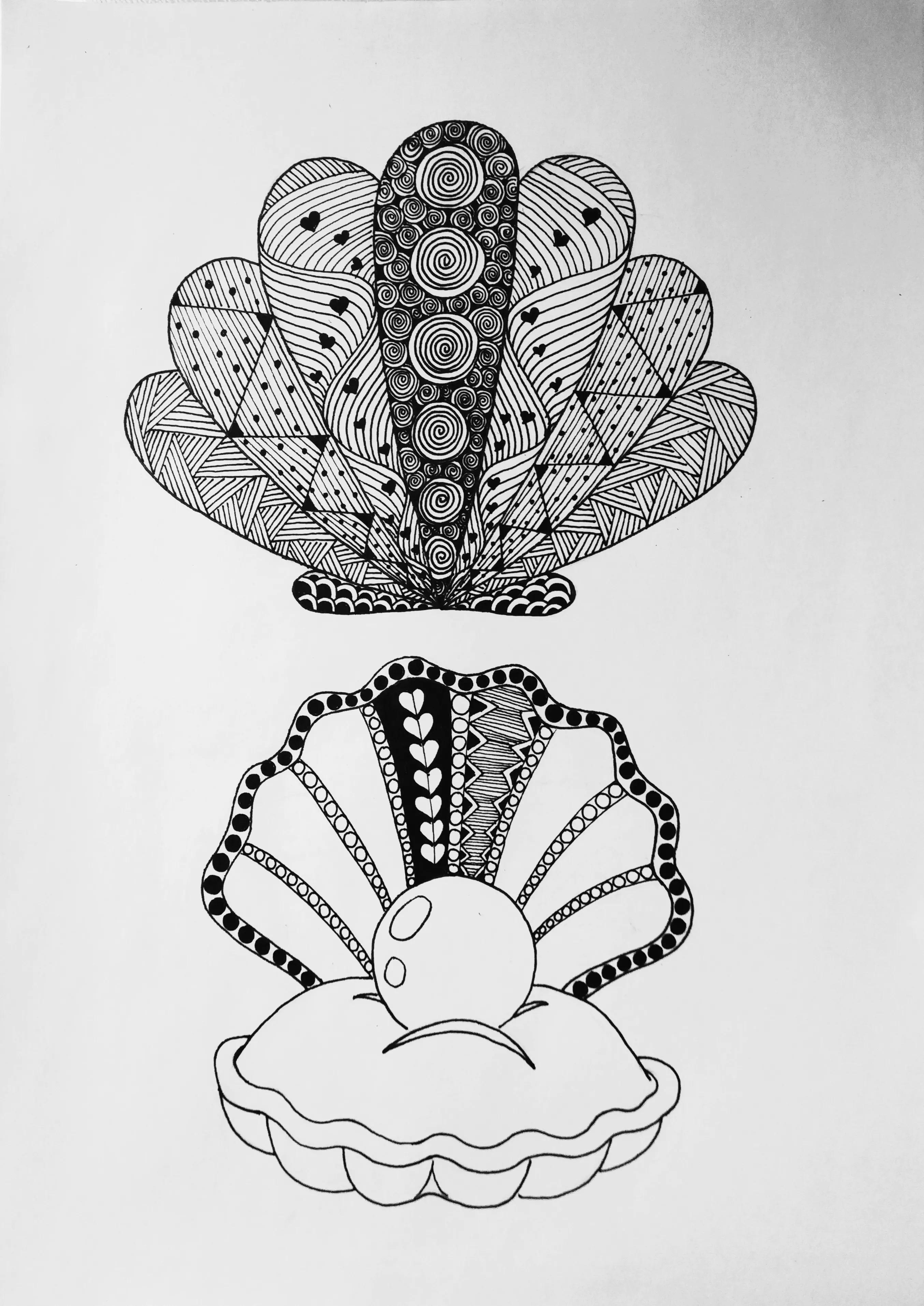 在扇贝上怎么画简单又漂亮,儿童线描画扇贝