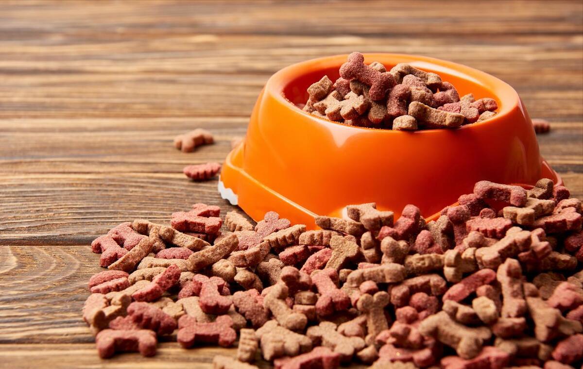 狗狗吃自制狗粮好还是成品狗粮好,幼犬狗粮排行榜狗狗吃哪种狗粮好