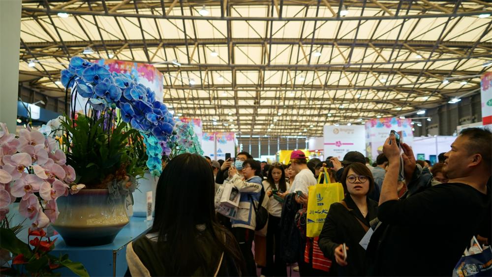 第26届中国国际花卉园艺展览会,人如潮花如海绿如茵还能组什么词