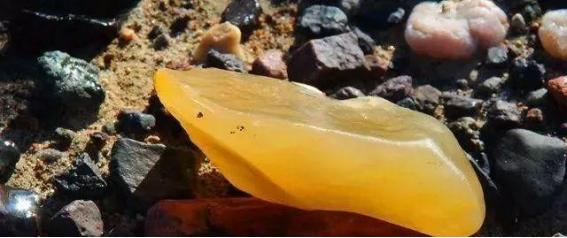 *疆新**10个捡石头腹地曝光！有一种致富方式叫去*疆新**捡石头！