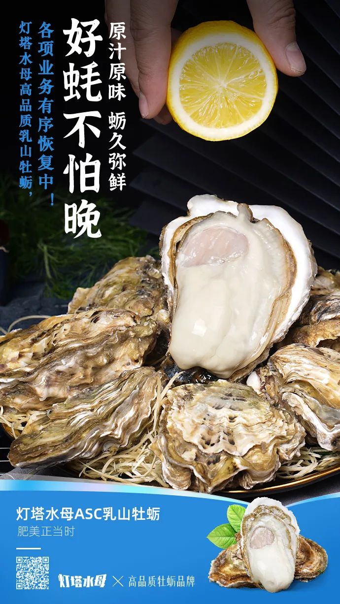 牡蛎乳山牡蛎,乳山一手牡蛎怎么发展