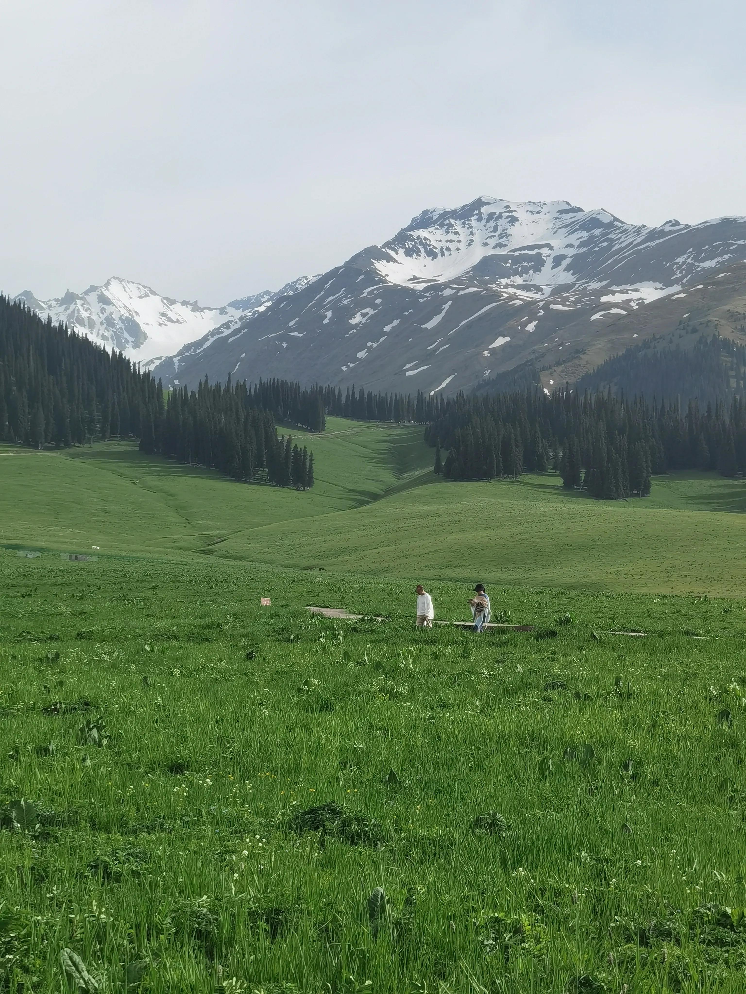 来疆旅游好玩吗,疆内现在可以旅游吗