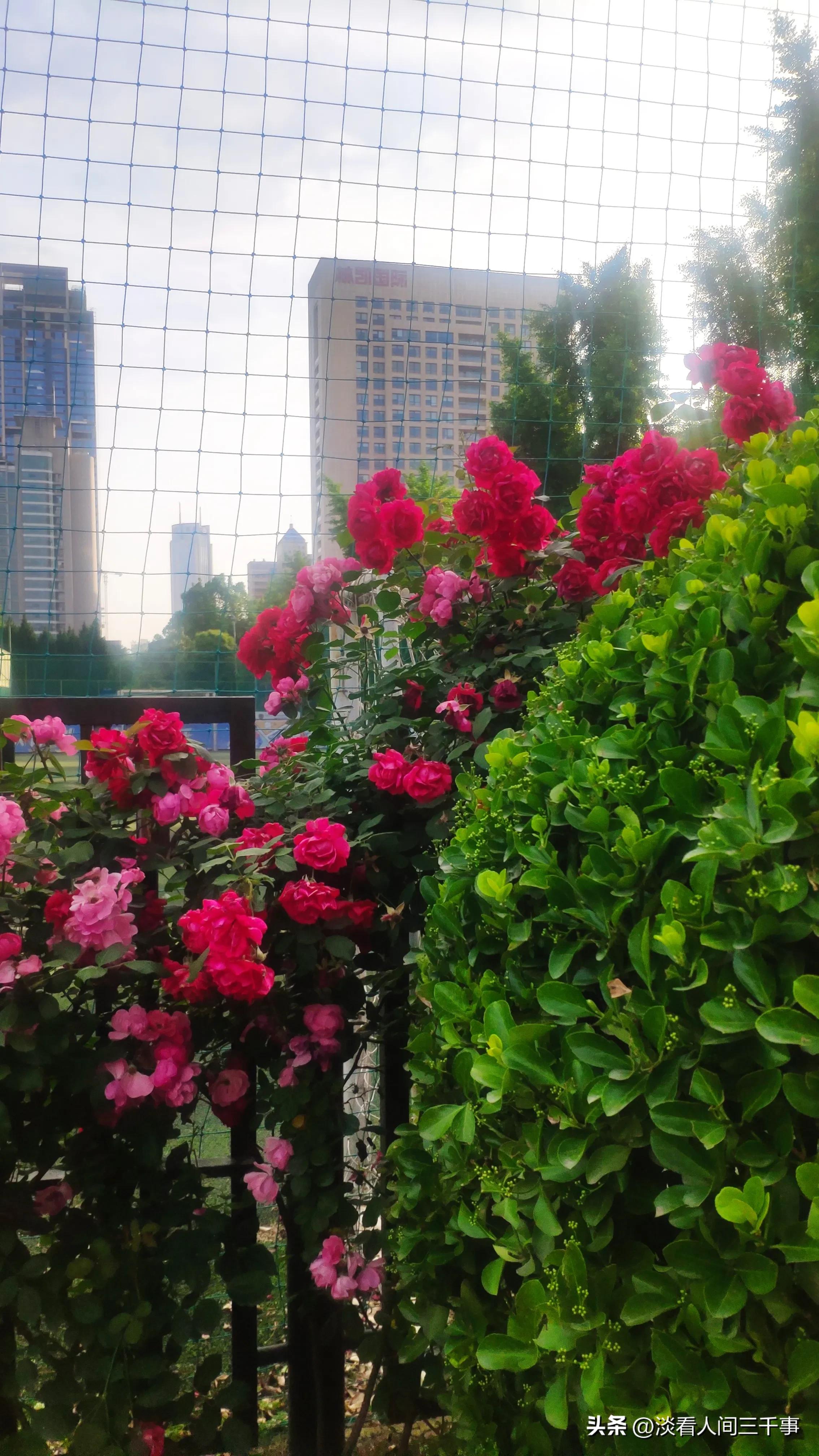 西安高新区新纪元高尔夫球场,西安高新区新纪元公园电话