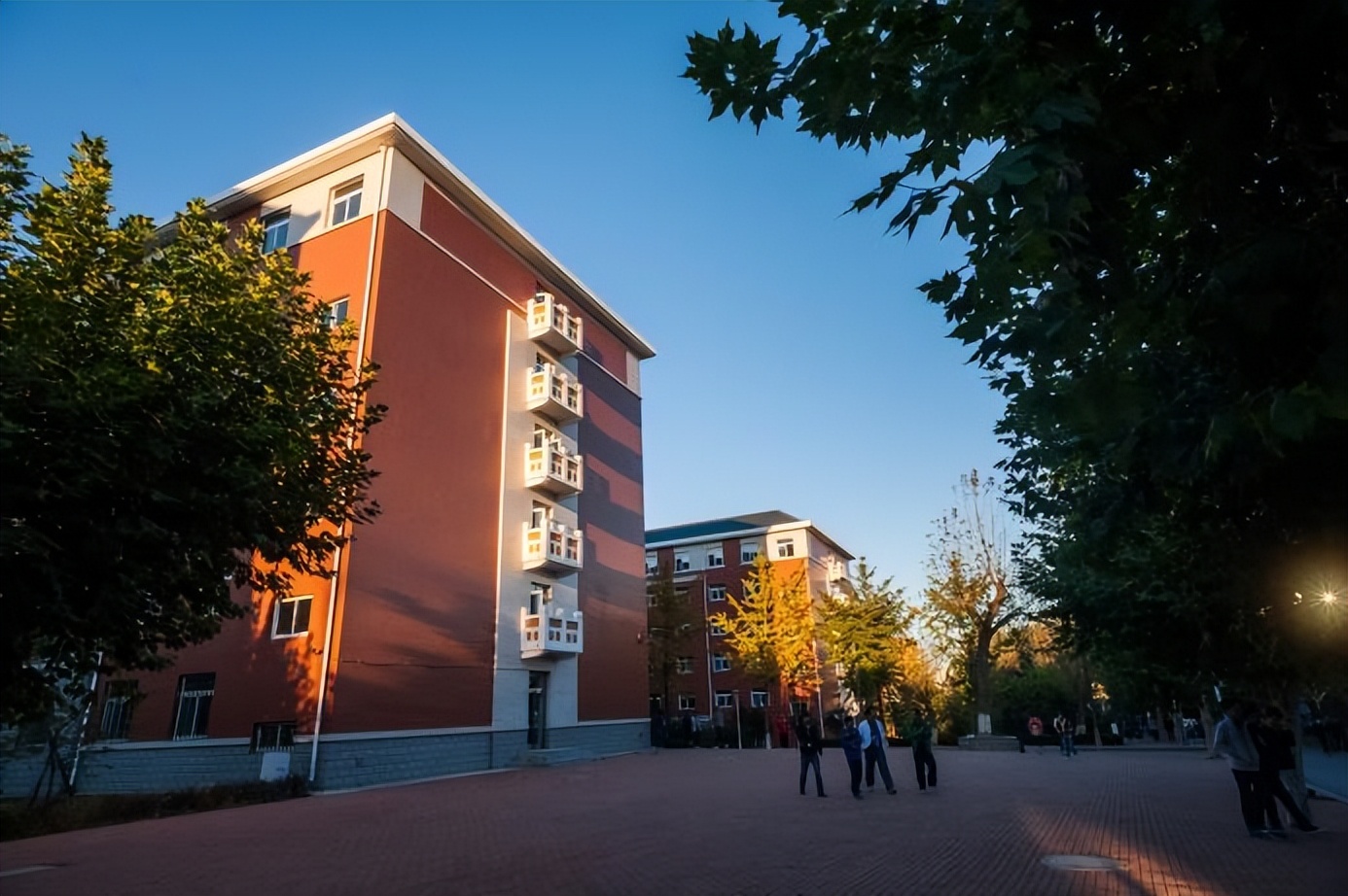 大连理工大学世界前五专业,大连理工大学专业全球排名