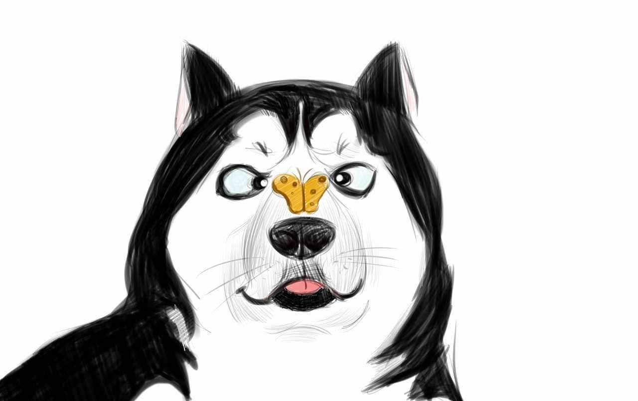 vue微信公众号怎么获取返回按钮,微信公众号开发前端vue调试