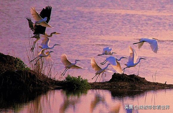 海岸线：海南岛西海岸之儋州——找寻隐秘在千年时光里的独特美景