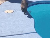 车上鼓掌得了性病，保险公司气疯了