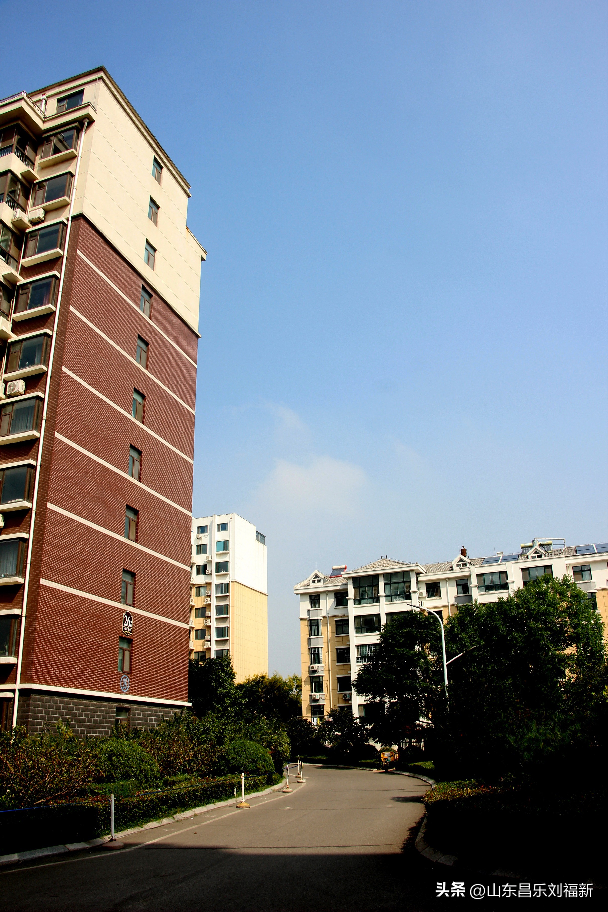 碧水龙庭深圳7栋4单元,顺光风景片拍摄