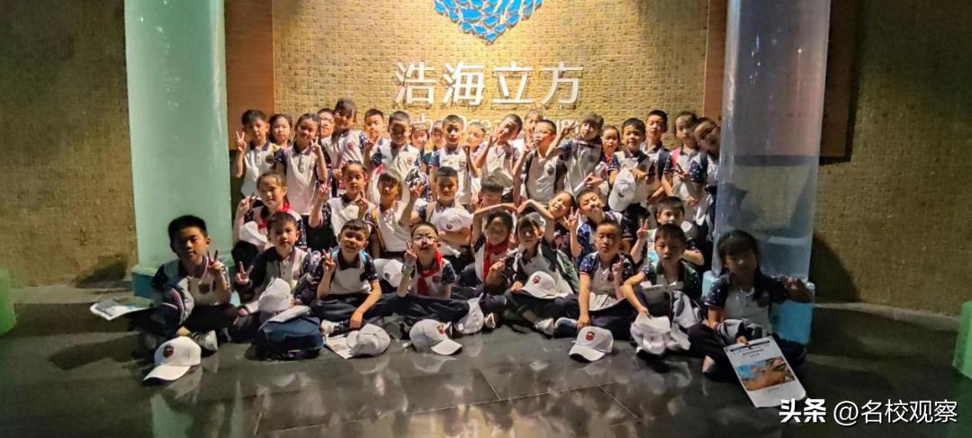 蔚蓝做苍穹，鱼儿变繁星！新川学子，走进浩海立方，探秘无限海洋