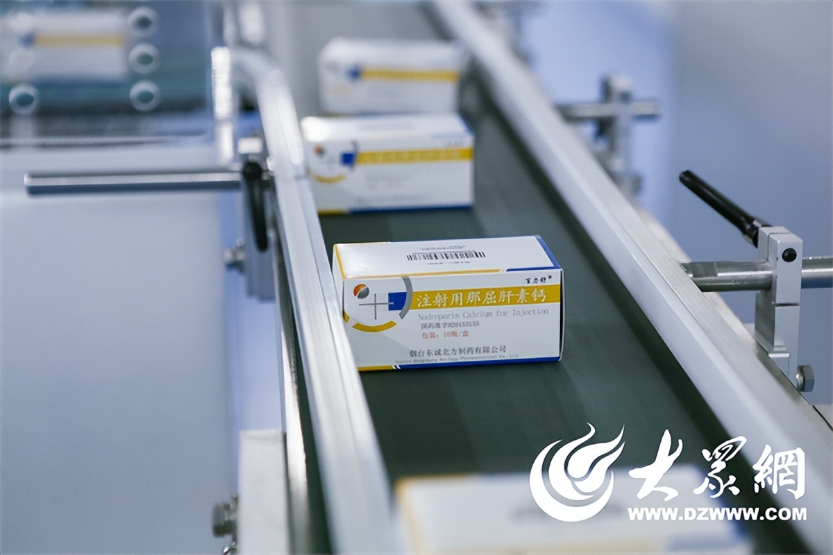 东诚药业未来制剂出口,东诚药业有限公司制剂