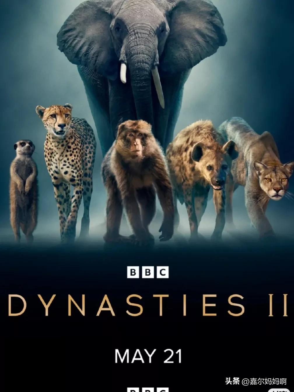 孩子必看十部人文纪录片,值得陪孩子看的30部宝藏纪录片