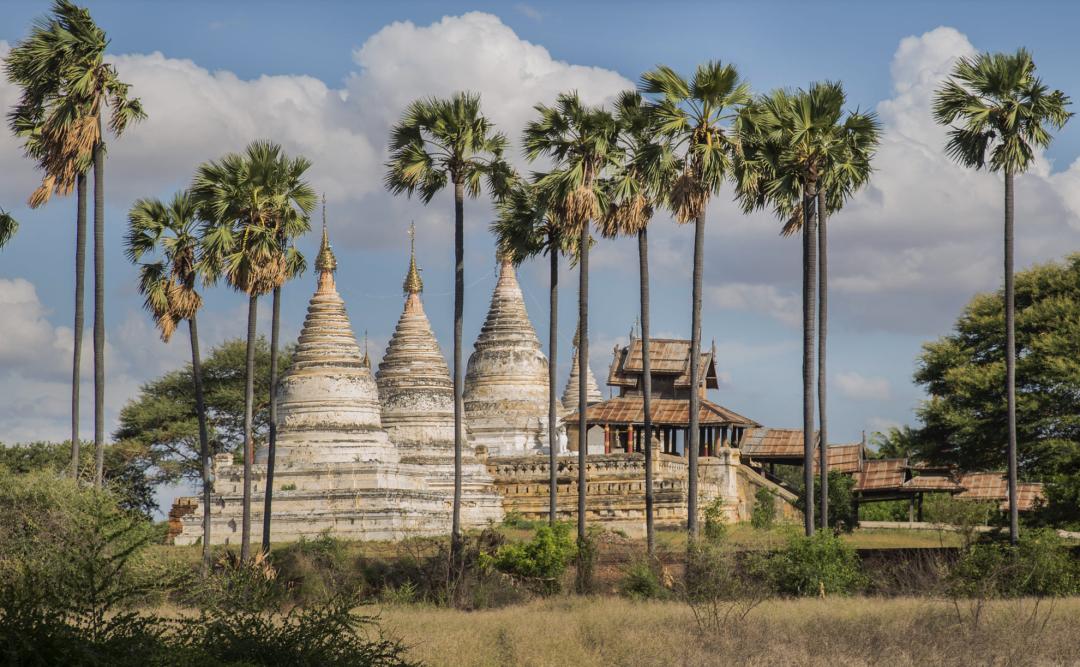 出国机票超便宜,出国机票便宜了吗