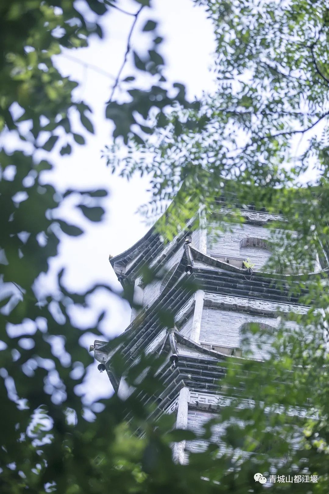 都江堰小众人少的地方,都江堰小众秋天打卡地