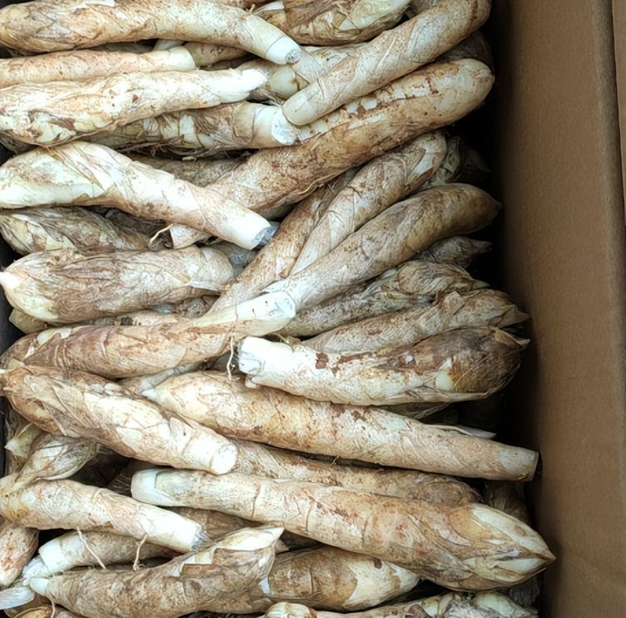 广东正宗番薯特产,广东梅州特产红薯