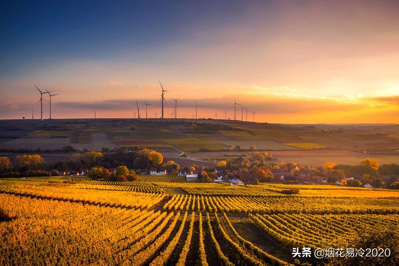 生态农业做什么最赚钱,十大前景最好的农业项目