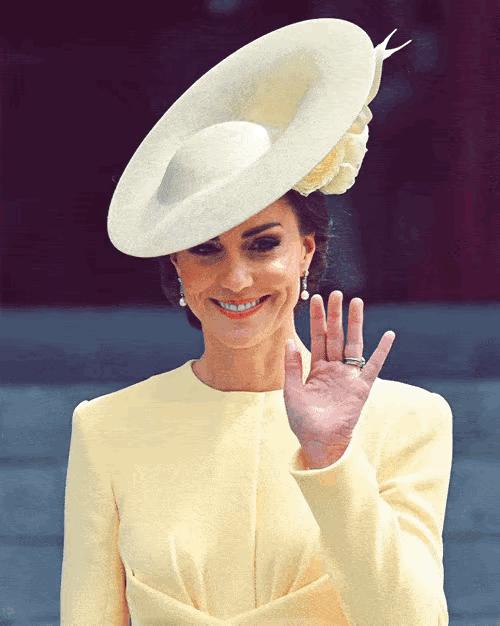 威廉王储,威廉王储的心事