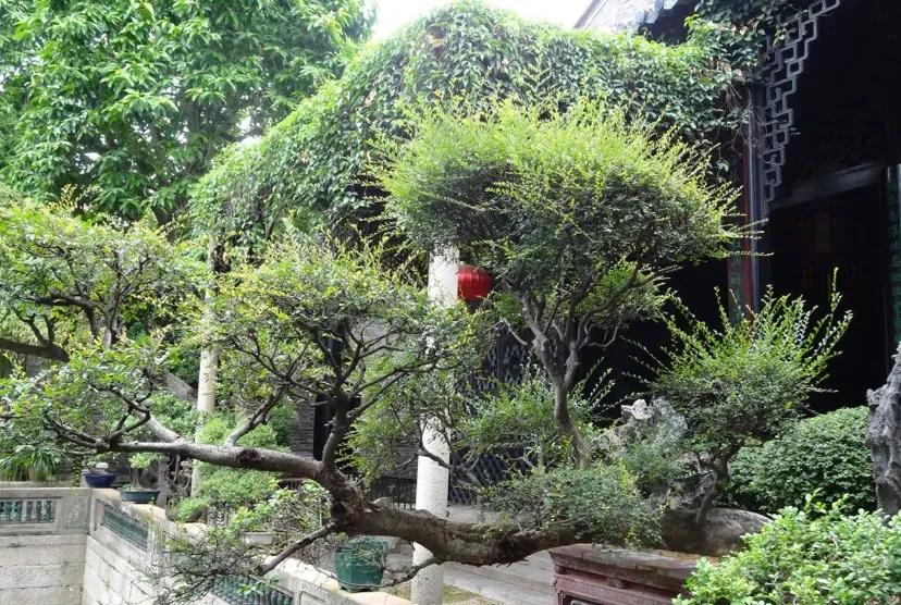 苏州古典园林世界文化遗产介绍,苏州古典园林世界文化遗产