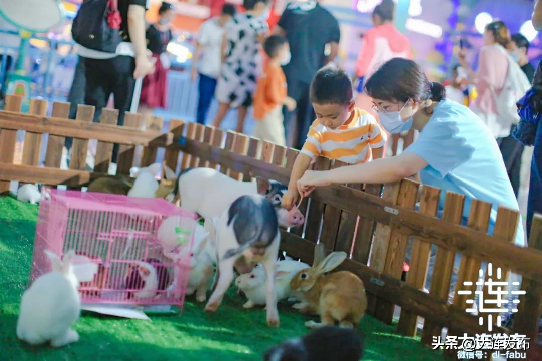 七天假期上哪玩儿,假期去哪儿玩这份攻略告诉你