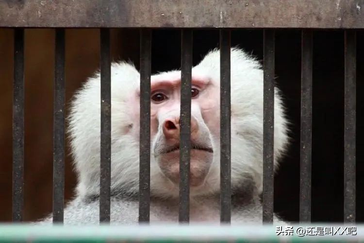 减少每天的吃饭时间,为避免食堂用餐浪费通知