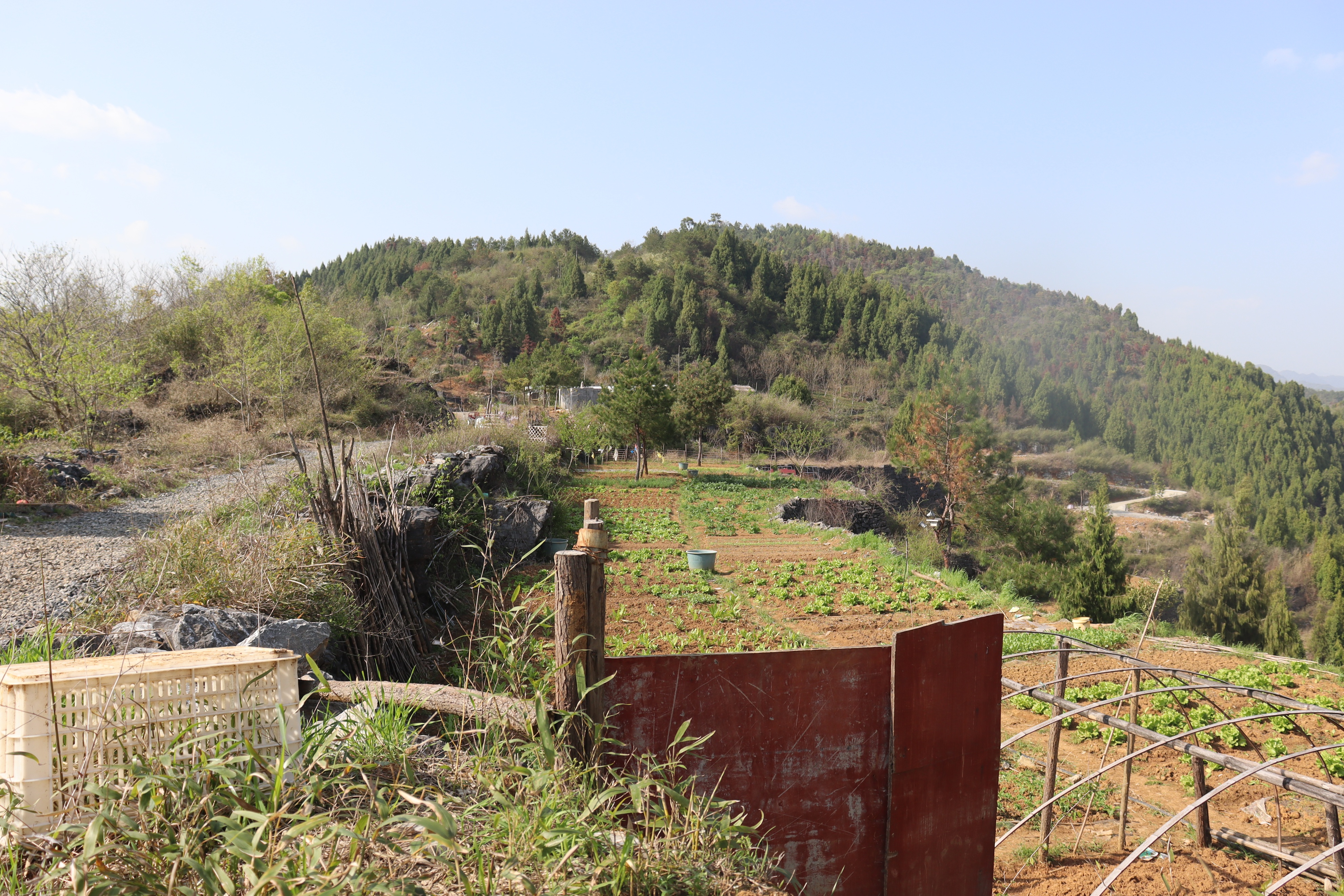 我竟然不知道，现在坐高铁不需要取票的了