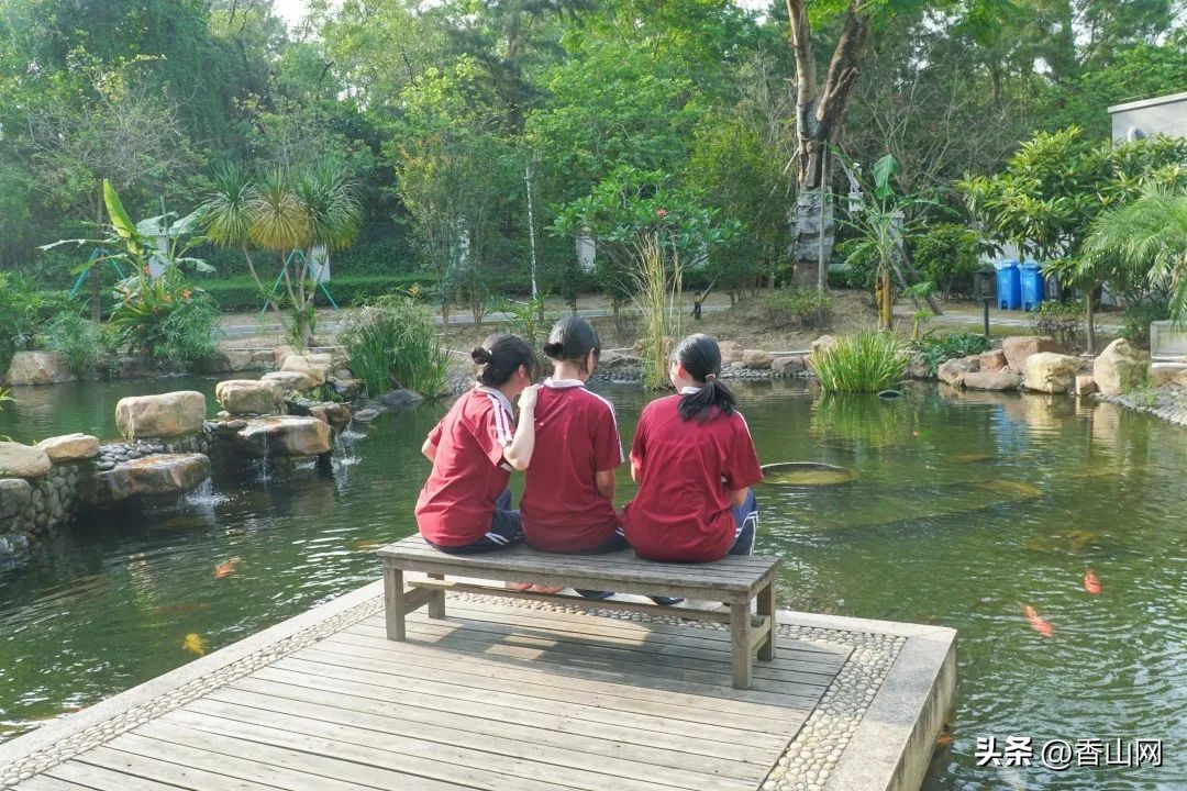 北师大珠海附中,三年青春在校园里