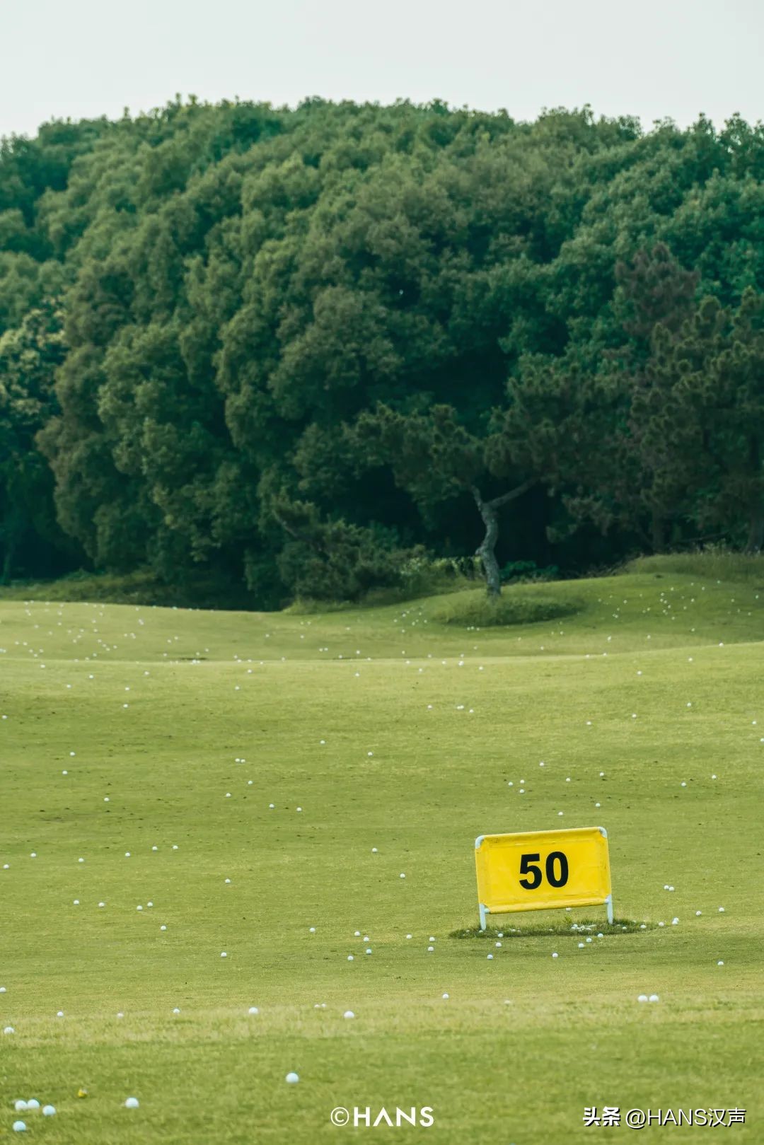 过隐！种花养鱼武汉人