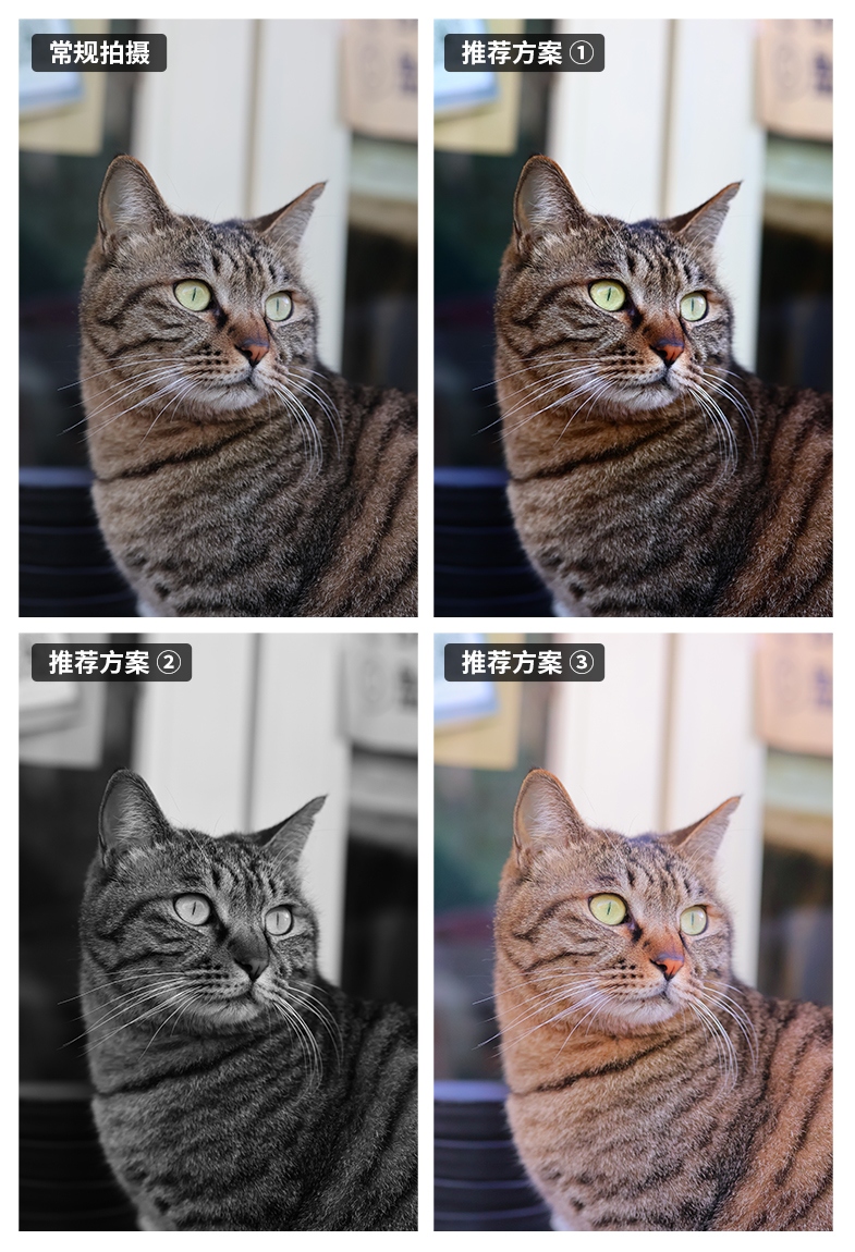 佳能eosr50深度评测,佳能eosr50优缺点