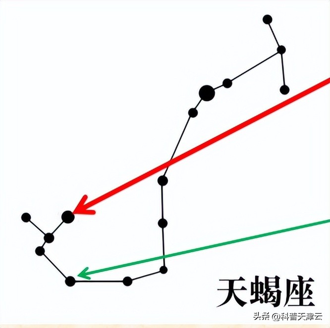 【科学向日葵】天文课堂|认识夏季星座（三十二）天蝎座