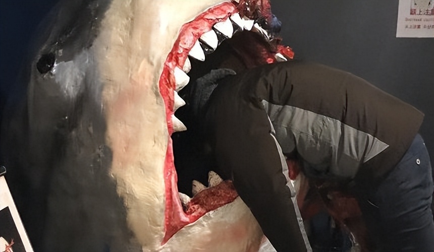 日本网红旅行,日本旅游攻略十大必去的网红景点