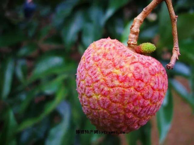 北京一斤荔枝卖1049元，从雪糕刺客到荔枝刺客；是收智商税吗？