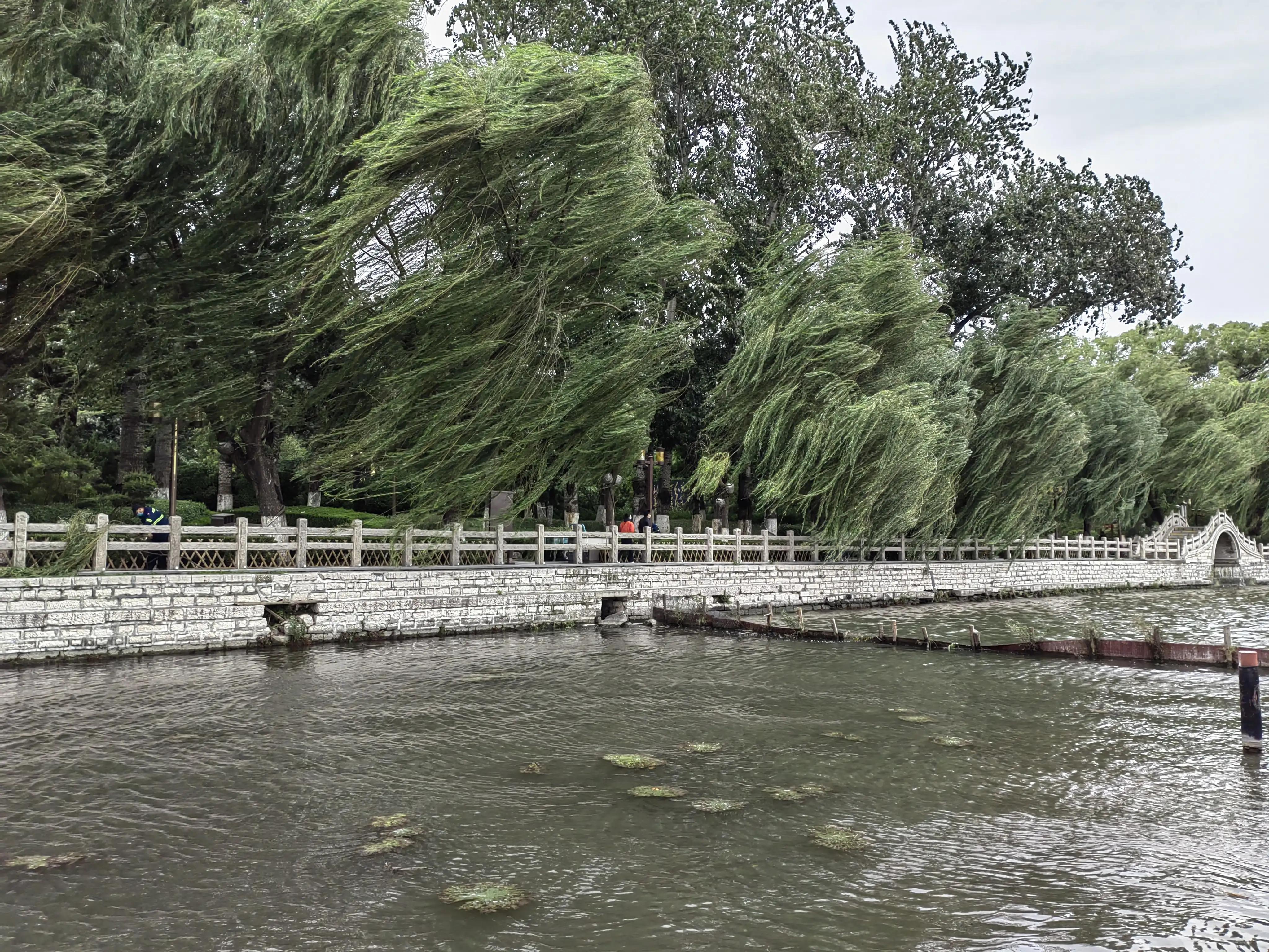 重阳日，大明湖畔赏毛*东泽**的《采桑子.重阳》