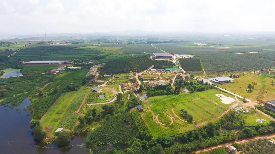 非凡十年看海淀,非凡十年看鹤城