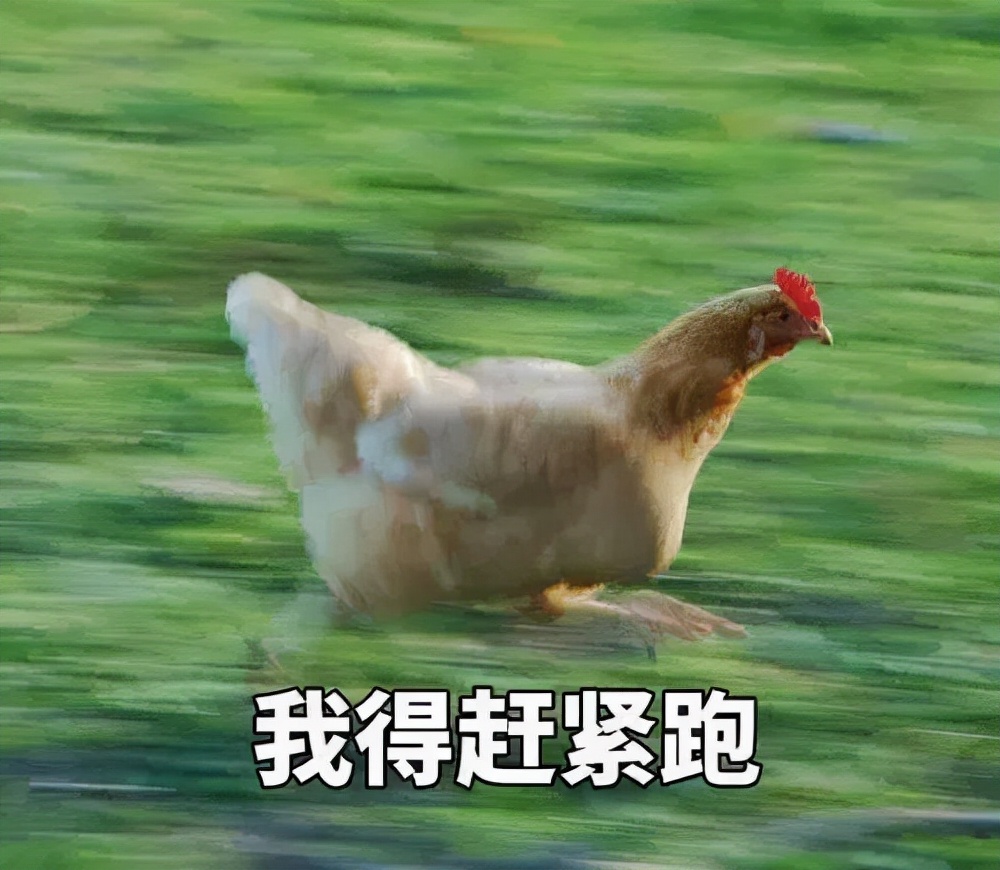 中午12点是a.m还是p.m,中午的12点10分是am还是pm呢