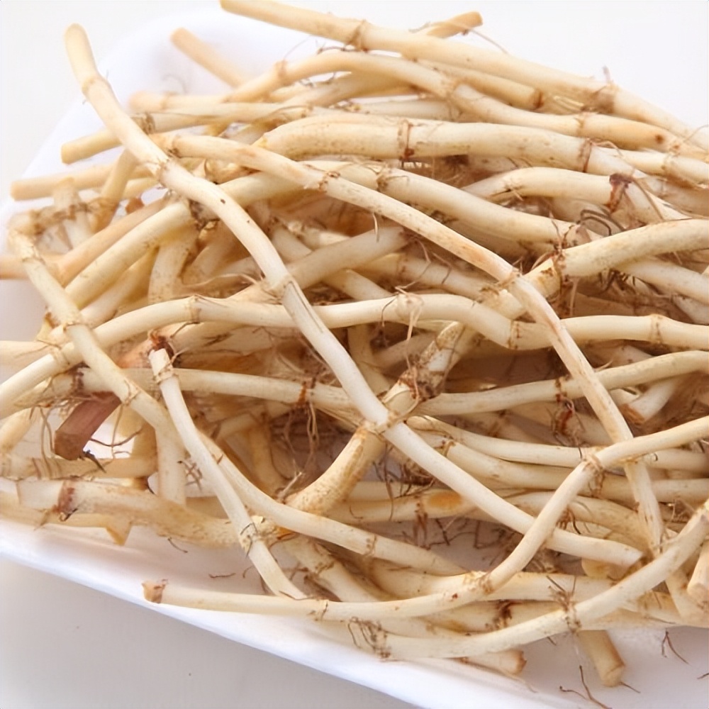 为什么说鱼腥草是害人草,鱼腥草是害人草还是养生草