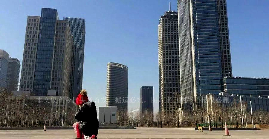 举全国之力发展重庆对楼市影响,举国之力建设重庆