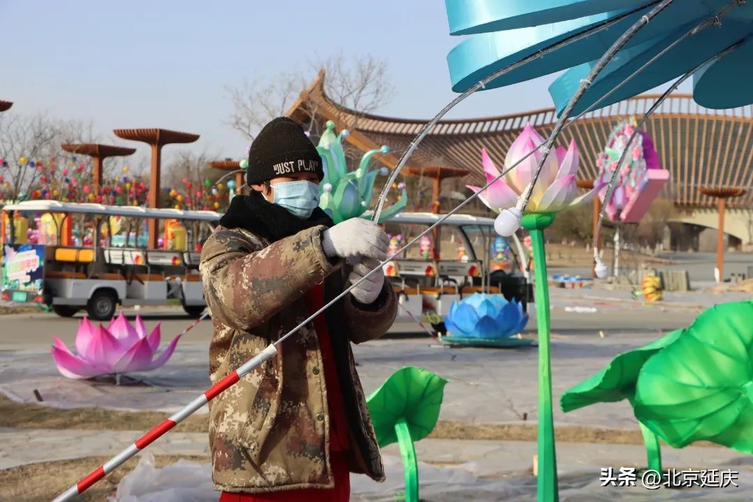 北京延庆世园公园新春闹花灯,北京世园公园花灯将点亮