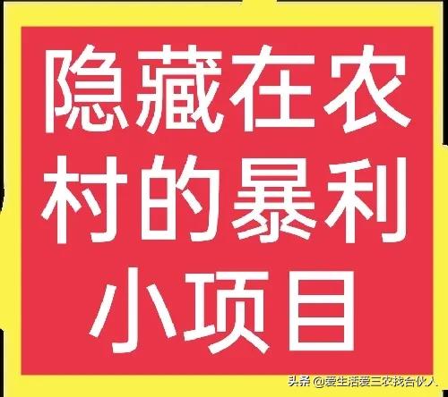 5个农村暴利小作坊推荐,农村集市暴利的小生意