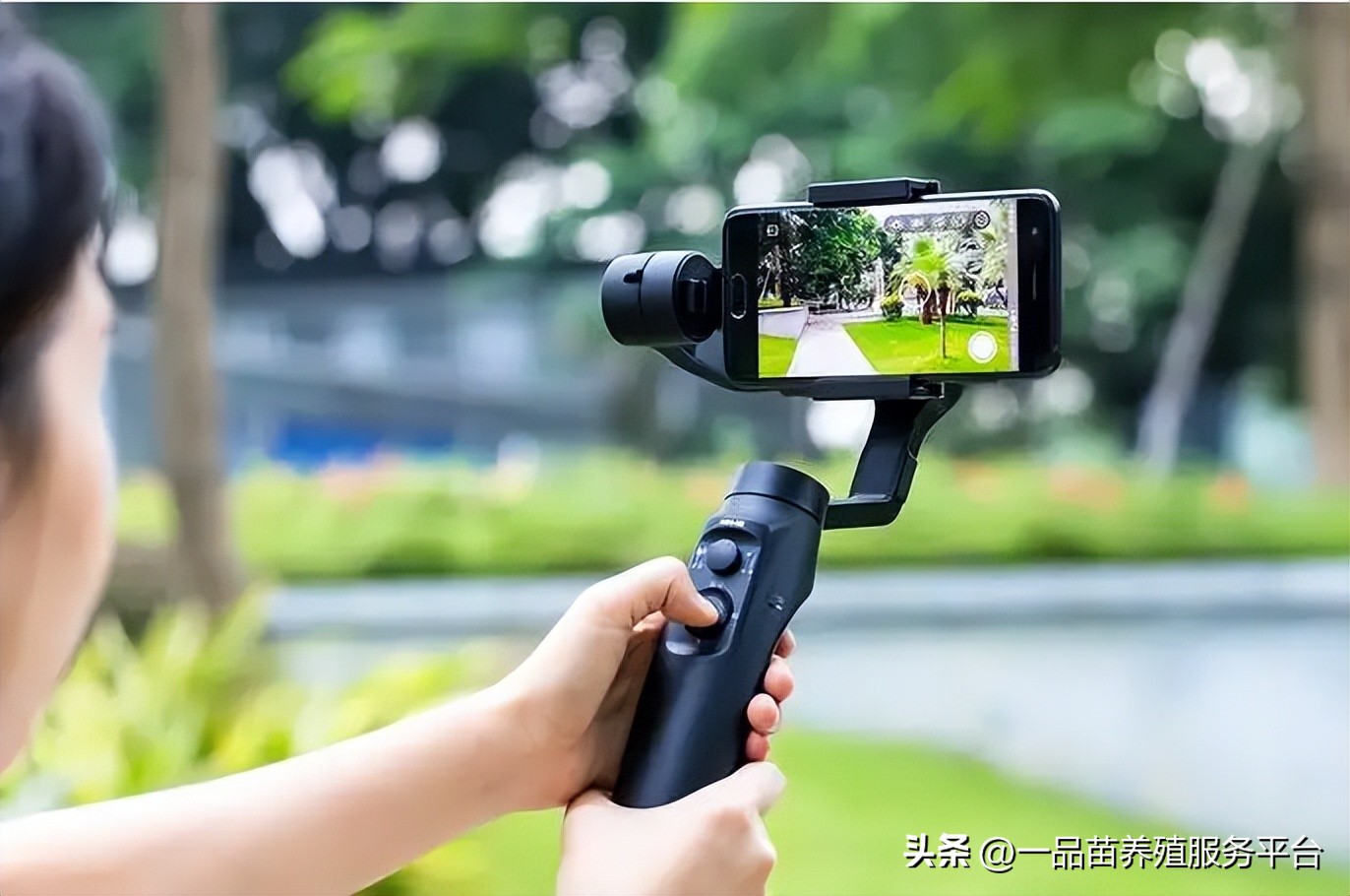 创业养殖种植代理行业,农村创业不宜做什么生意