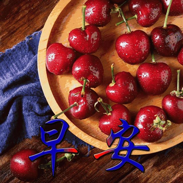 最真挚的祝福和问候早上好表情包,早上好图片带字逗人开心表情包